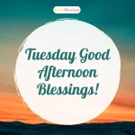 200+ Tuesday Afternoon Blessings: Quotes, Prayers & Messages to Brighten Your Midweek