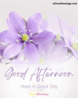 Beautiful Good Afternoon Blessings