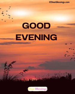 Best Good Evening Greetings