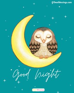 Cute Good Night Images And Quotes