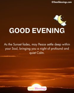 Delightful Good Evening Wishes
